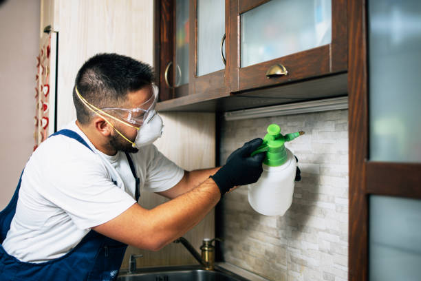 Trusted Martinez, CA Pest Control Experts