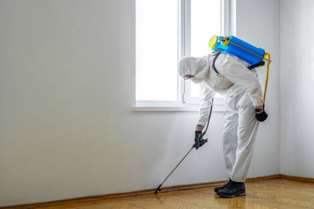 Best Mosquito Control Services  in Martinez, CA