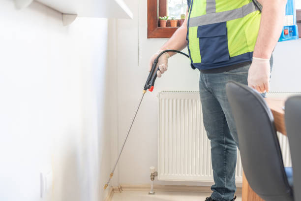 Best Pest Control Near Me in Martinez, CA