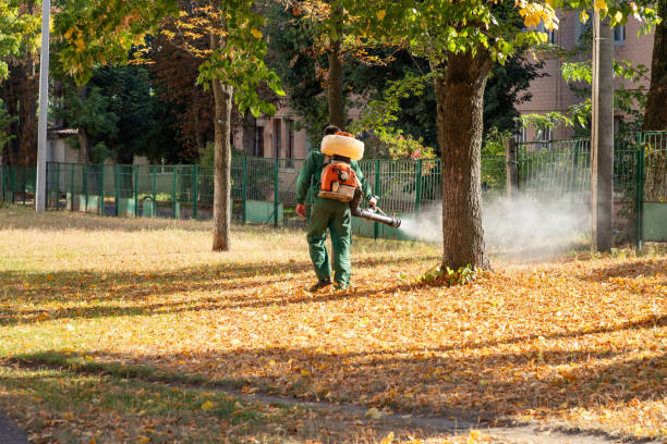 Best Pest Removal Services  in Martinez, CA