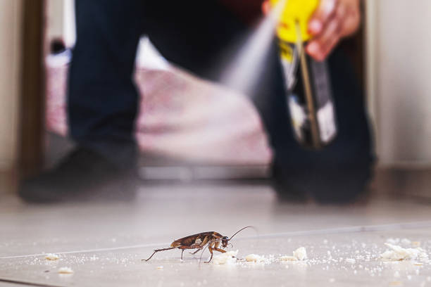 Reliable Martinez, CA Pest Control Solutions