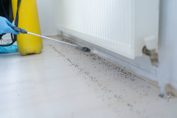 Best Pest Control Near Me  in Martinez, CA